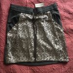 Ann Taylor NWT  skirt Photo 1