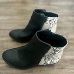 Black Booties with Faux Snakeskin Design In Women’s Size 10, Perfect for Fall Photo 4