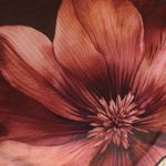 Windsor Floral Halter Crop Top Size S Photo 3