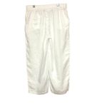 Quince Women’s European 100% linen pants Size: L Photo 1