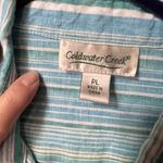 Coldwater Creek  size PL 100% linen button down shirt. Photo 2