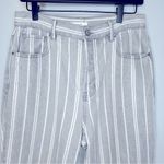 PacSun Gray Double Stripe Straight Leg Jeans High Waist Crop Ankle 29 Photo 5