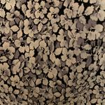 Banana Republic Black And Tan Floral Midi Skirt Photo 2