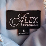 Alex Evenings  Women's Long Embroidered A line dress size 6 New Photo 8