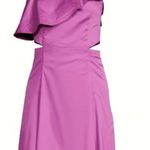 Veronica Beard  Beilla Ruffle A Line Dress Vivid Orchid size 6 Photo 5