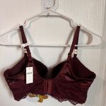 Aerie Burgundy Lace Plunge Longline Bra Balconette Size 34D New With Tags Photo 4
