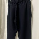 Tommy Hilfiger Women's Cropped Navy Pants Photo 5