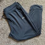 Under Armour UA Gray Joggers Photo 0
