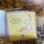 Disney  Stellalou 2022 Christmas Key Chain Photo 1