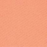 SKIMS  Terry Zip Up Sweater Sweatshirt Limited Edition Collectible Orange NWT Photo 3