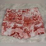 Calvin Klein   Red/White Snake Print Women's Shorts Photo 3