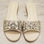 ALDO ππ Brodkin Jewel Slide Slipper Sandal Flats Silver 8 NEW IN BOX Photo 0
