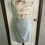 The Limited New  Collection Elegant Gray Women's Skirt Size 6 Photo 4