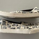 Toms  | limited edition Racoon print slip on sneakers. Size: 8 Photo 12