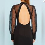 Main Strip Mock Neck Mini Dress-Large-Organza Sheer Sleeves-Pearl Embellishments Photo 1