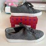 Tory Burch  Marion Quilted Fleece Lace Up Sneakers, Dovestone 8 EUC Photo 3