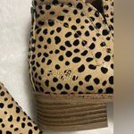 blowfish Vegan Ankle Boots Size 6.5 Leopard Print Photo 7