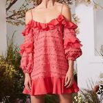 Alexis  Calypso Ruffled Embroidered Fringe Party Dress in Rouge Photo 11