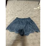 Smell The Roses  Blue Embroidered Shorts Size Large Floral Photo 1