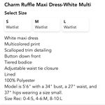 Charm Ruffle Maxi Dress Multiple Size M Photo 6