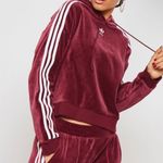 Adidas Oversized Maroon Velvet Crop Hoodie Photo 1