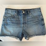 BDG Urban Outfitters Western Cowgirl Festival Denim Cutoff Boyfriend Low Shorts Photo 3