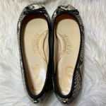 Circus by Sam Edelman Charlotte Ivory Snakeskin Print Ballet Flats Photo 4