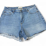 Abercrombie & Fitch The Dad Jean Shorts High Rise 33/16 Distressed Curve Denim Photo 0