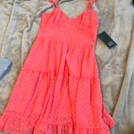 Wild Fable Dress Photo 0