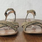 J.Crew Womens Sandals 7 Tan Black Animal Leopard Print Calf Hair Strappy Flats Photo 2