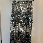 ZARA Sequin Skirt Photo 0