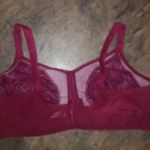 Goddess 50E Pink Red Lace Bra Size 2X Photo 5