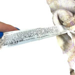 ZARA  Cropped‎ Plaid Jacket Shacket Purple Cream Size Large Photo 11