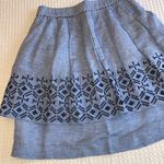 Anthropologie  ODILLE Size 4 Blue Embroidered Pleated Knee Length Skirt Photo 0