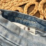 American Eagle  Mom Shorts Floral Embroidered High Rise Jean Shorts Womens 18 Photo 4