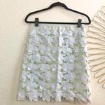 Milly NWOT  of New York Leaf Floral Flower Appliqué 3D Mini Skirt Blue/Green Size 2 Photo 0