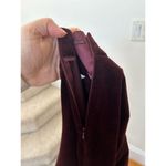 Talbots Chocolate Burgundy Brown Velvet Ankle Trousers Photo 6