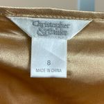 Christopher & Banks  Skirt 8 Colorfully Lightweight Flared Summer Chiffon Flowy Photo 4