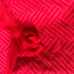 Aerie Red Textured Bikini Bottoms Photo 2