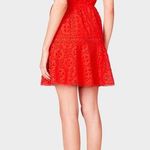 Betsey Johnson Mosaic Eyelet Dress Photo 2