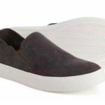 Steve Madden Size 9 Sneaker Fayna Slip On Fashion Gray Leather Shoes Women’s Photo 0
