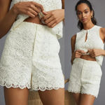 Anthropologie  Maeve Crochet Eyelet Shorts in White Size 2 NWOT $120 Photo 7