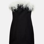 ZARA  dress mini bodycon Elegant Black and White Feather holiday party coctail  Photo 14