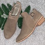 Gianni Bini  Suede Booties‎ Shoes Photo 0