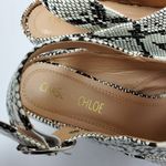 Chase and Chloe  Fame 1 Snakeskin Slingback Chunky Heels Pointed Toe Mules Sz 8.5 Photo 5