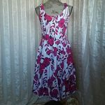 Breakin Loose Women's Floral Spring Dress Size 8 Photo 2