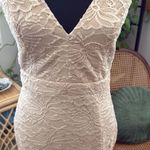 Windsor Beige Lace Bodycon Trumpet Hem Maxi Gown Dress Photo 2