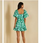 AMUR Martine Mini Dress floral Sz 6 sweetheart neck puff sleeve green Photo 11