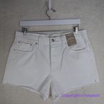 Madewell NEW Relaxed Denim Shorts in Tile White, 30 Photo 4