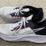 Nike Pegasus Running Shoes Photo 0